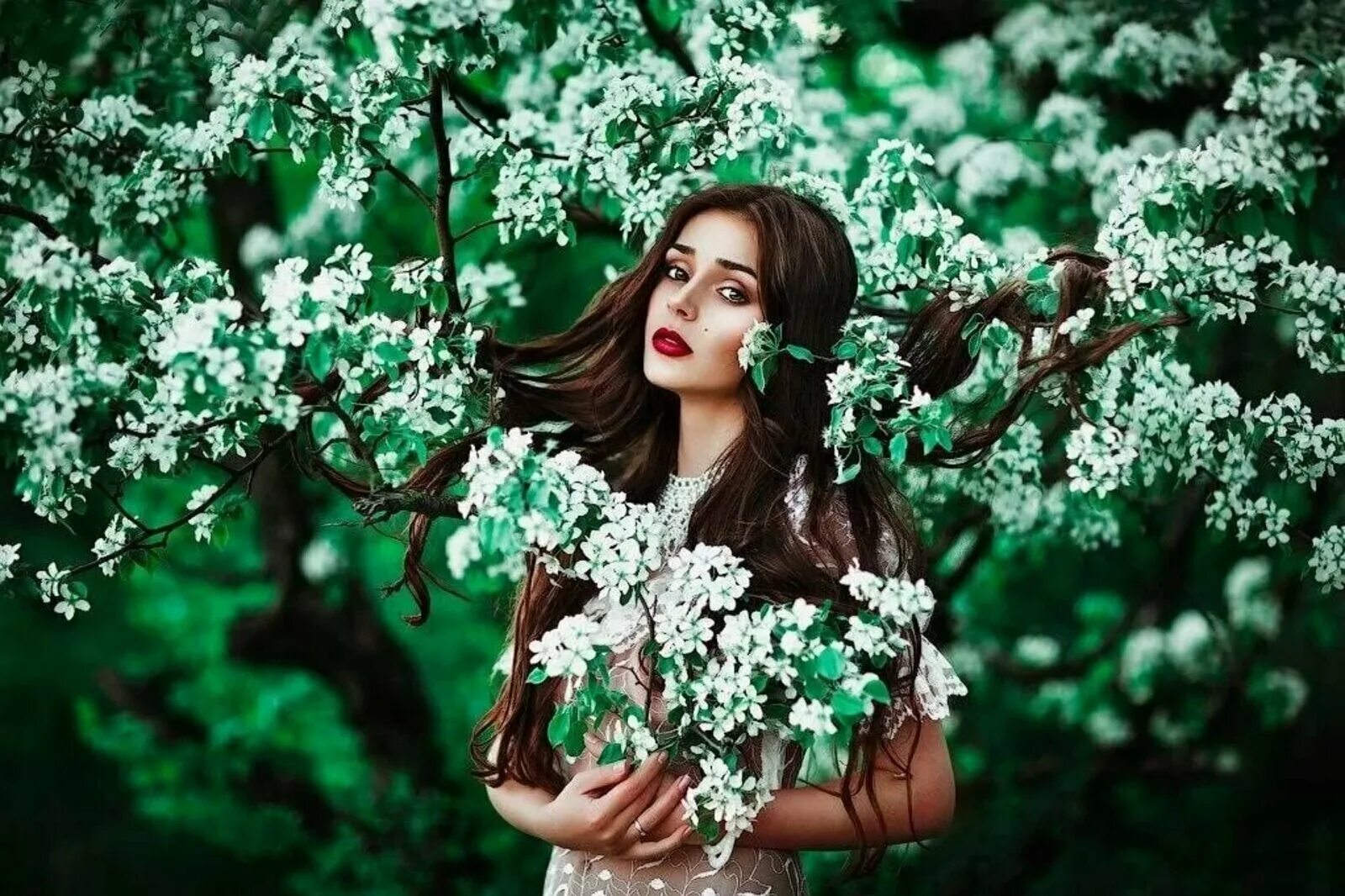 Фотосессия в цвету. Фотосессия в цветущих деревьях. Девушка с цветущим деревом. Девушка в цветущих деревьях. Девушка с цветущими деревьями.