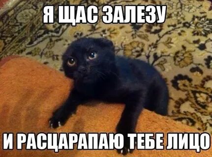 Сейчас полезет