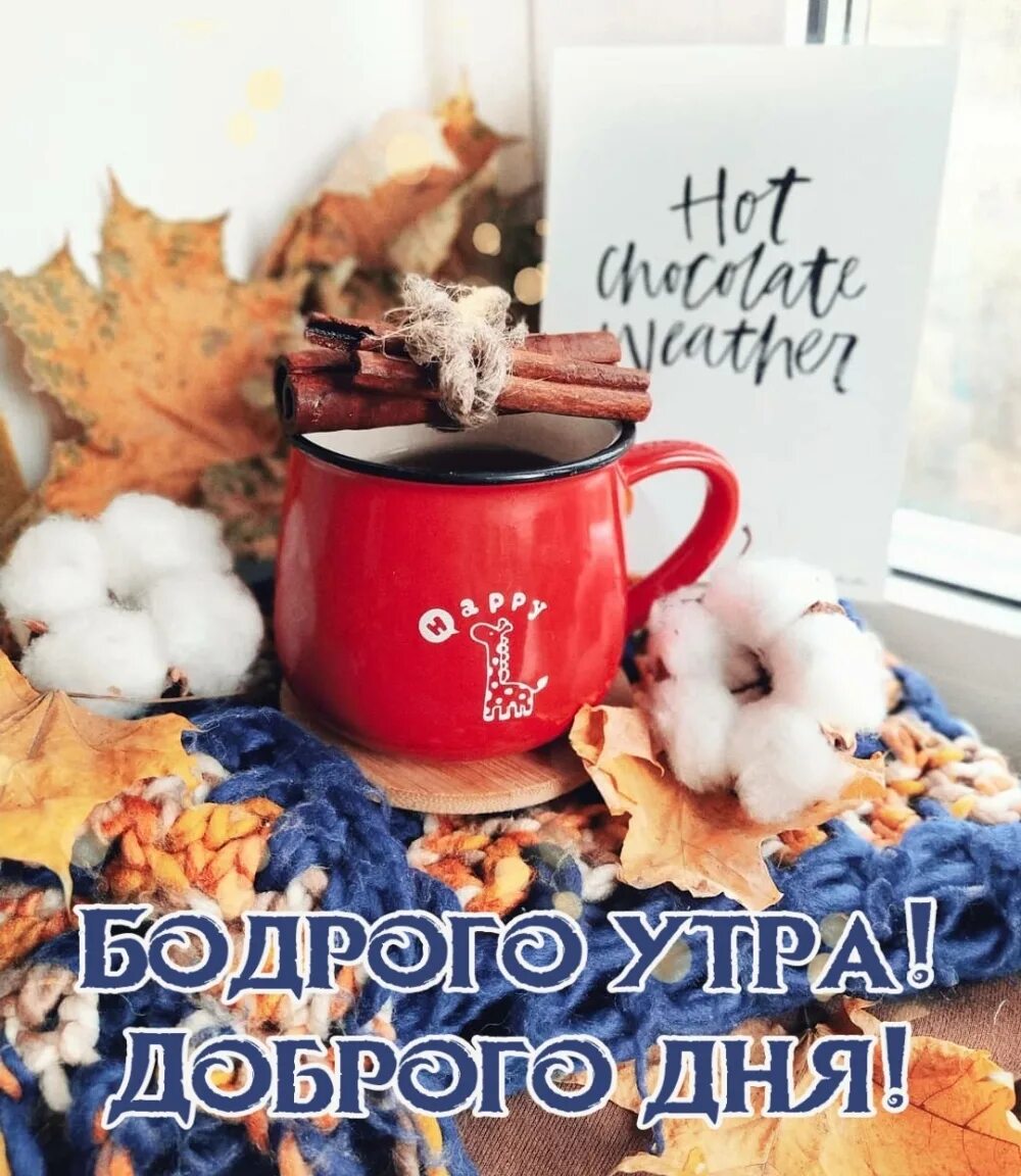 Картинки доброе утро осенние позитивные смешные прикольные. Доброе бодрое утро осеннее. доброе утро бодрого дня. доброе утро картинки позитивные необычные осенние. осеннее утро картинки с надписями.