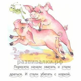Слово свинья