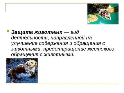Почему важно защищать животных