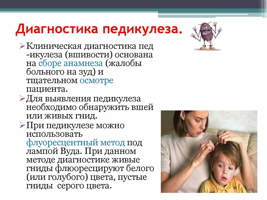 Медицинское значение вшей