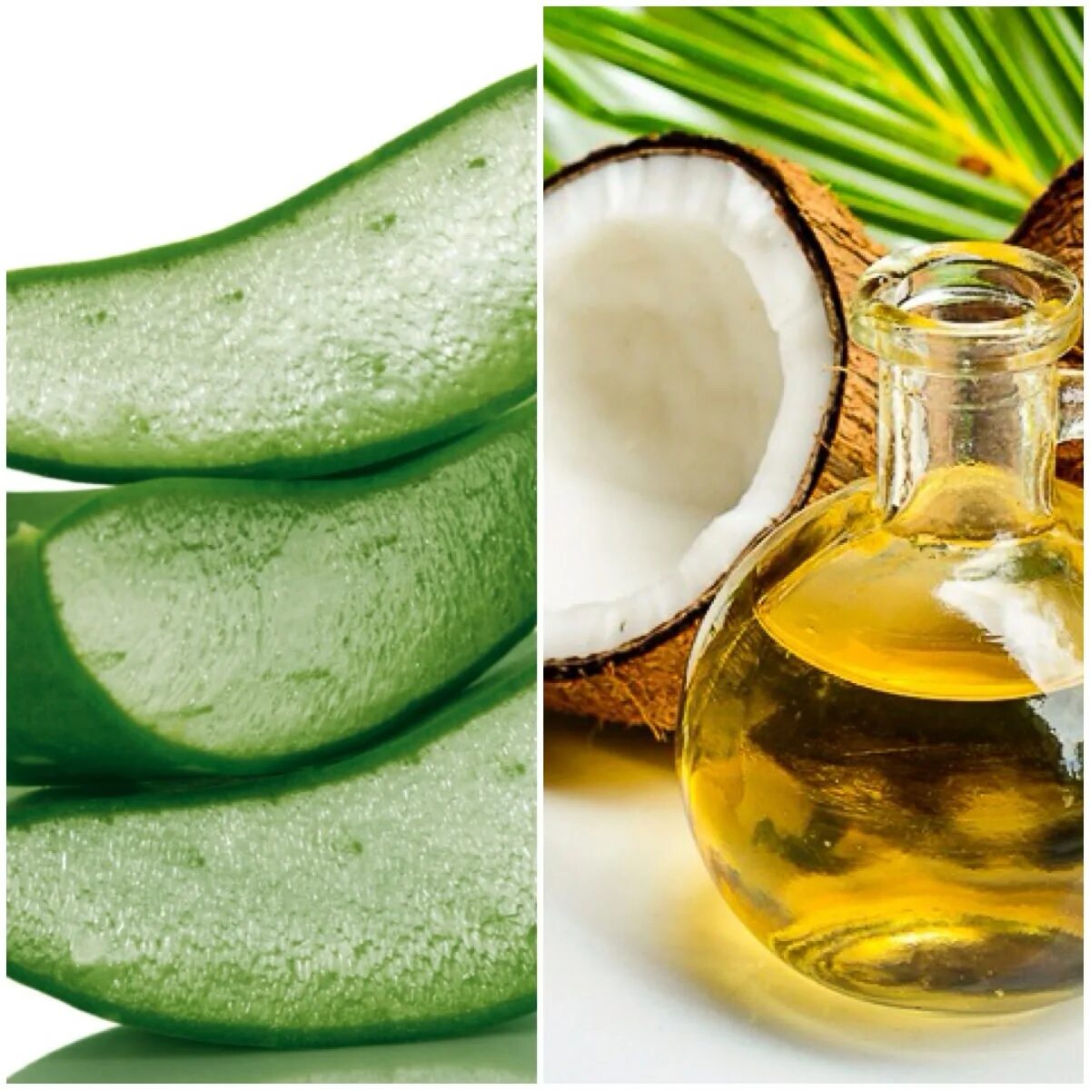 Aloe Vera Oil. Алоэ для похудения. Маска с алоэ и медом для волос. Маска для волос с соком