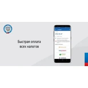 Проверить налоги фл