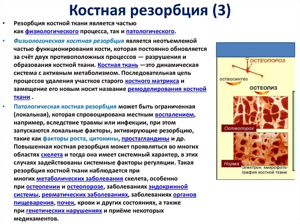 Маркер костной резорбции. Гормон усиливающий резорбцию костной ткани. Резорбция костной ткани схема. Показатели резорбции костной ткани. Гладкая резорбция костной ткани.