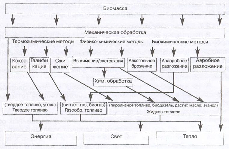 Термохимическая переработка биомассы. Классификация биомассы. Термохимический метод переработки биомассы. Способы переработки биомассы.