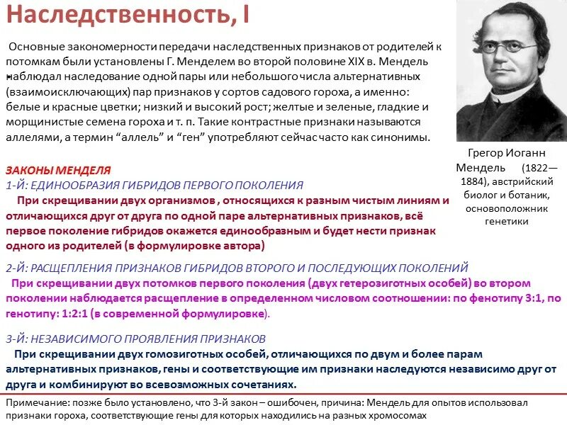 Закономерности наследственности установленные г Менделем. Закономерности насоедованияг Менделем. Закономерности наследования признаков установлены мендалем. Закономерности наследственности установленные г Менделем кратко. Поставляет наследственный