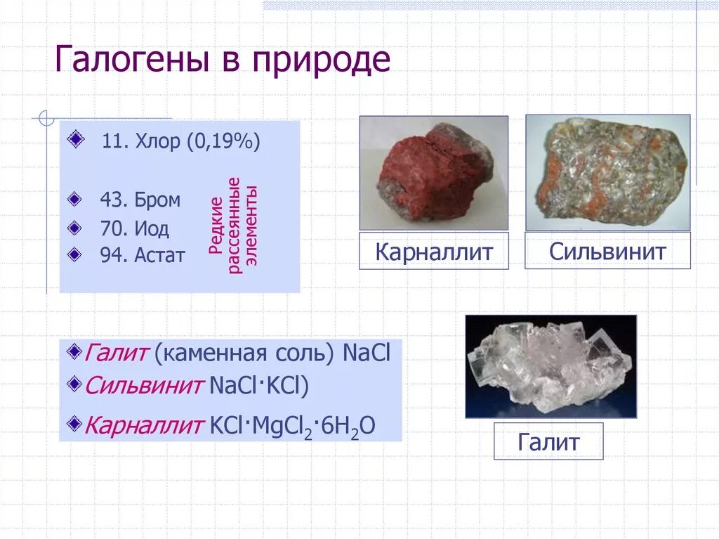 Фтор хлор астат. Природные соединения брома. Галогены в природе. Нахождение галогенов в природе. Распространенность галогенов в природе.