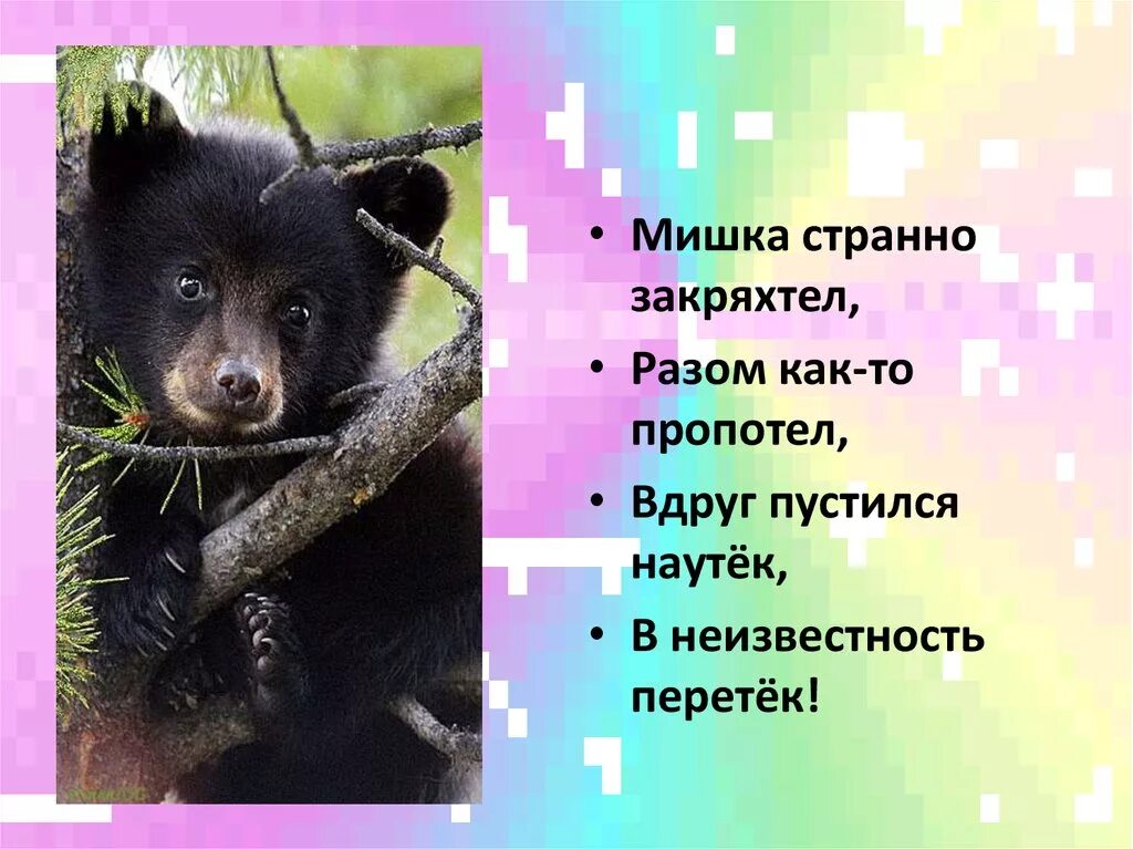 Наутек значение слова. Пуститься наутек. что значит наутек. бросились наутёк. пуститься наутек значение.