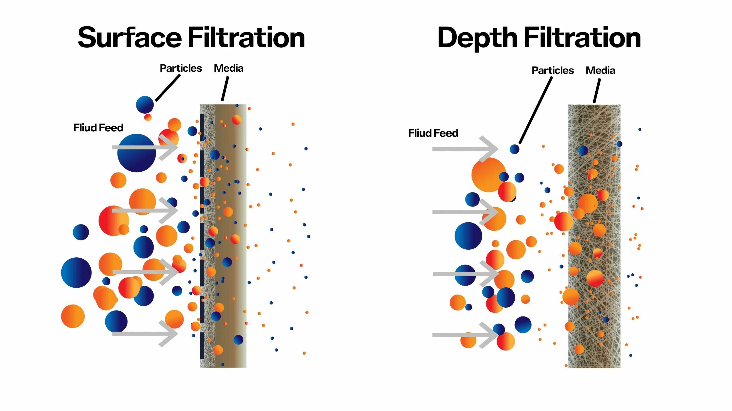 Guided filters