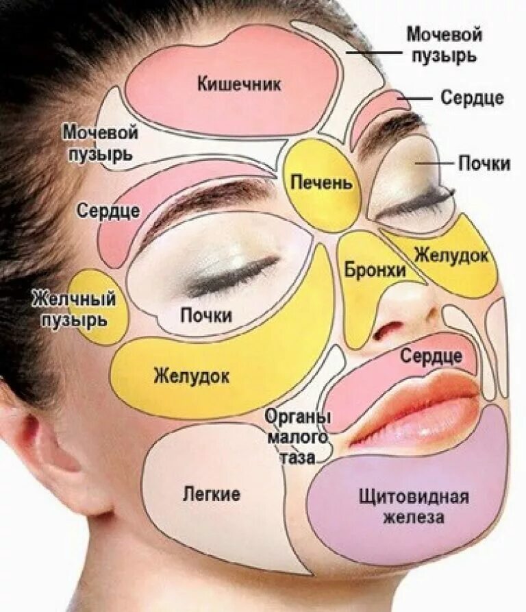 Красный лоб причины. Прыщи на лице по зонам причины. Зоны высыпания прыщей на лице. Зоны прыщиков на лице. Заболевания органов по прыщам на лице.