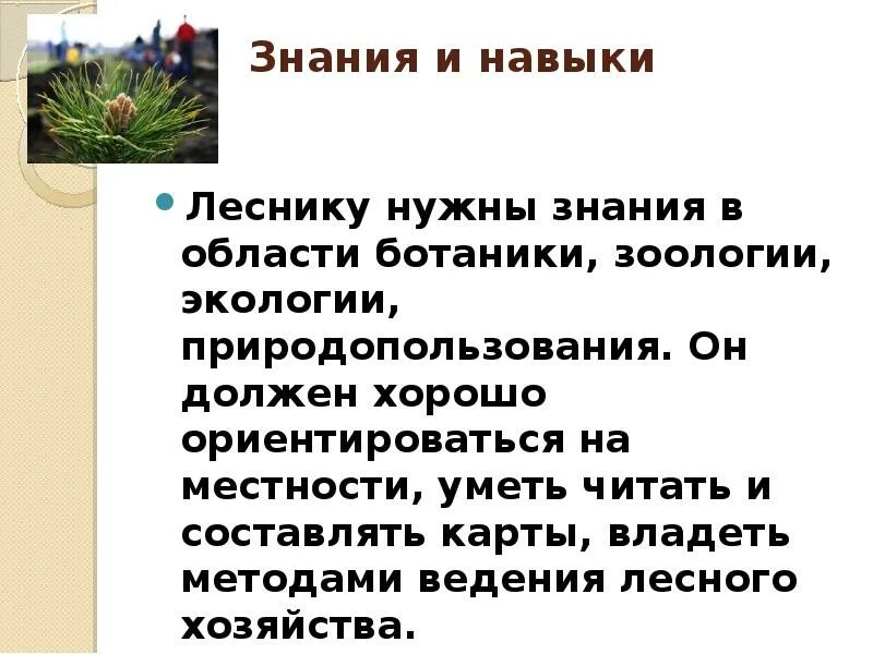 Значение в области какой ботанической. Обязанности лесника. Профессиональные навыки лесника. Лесные профессии список. Какие навыки нужны леснику.