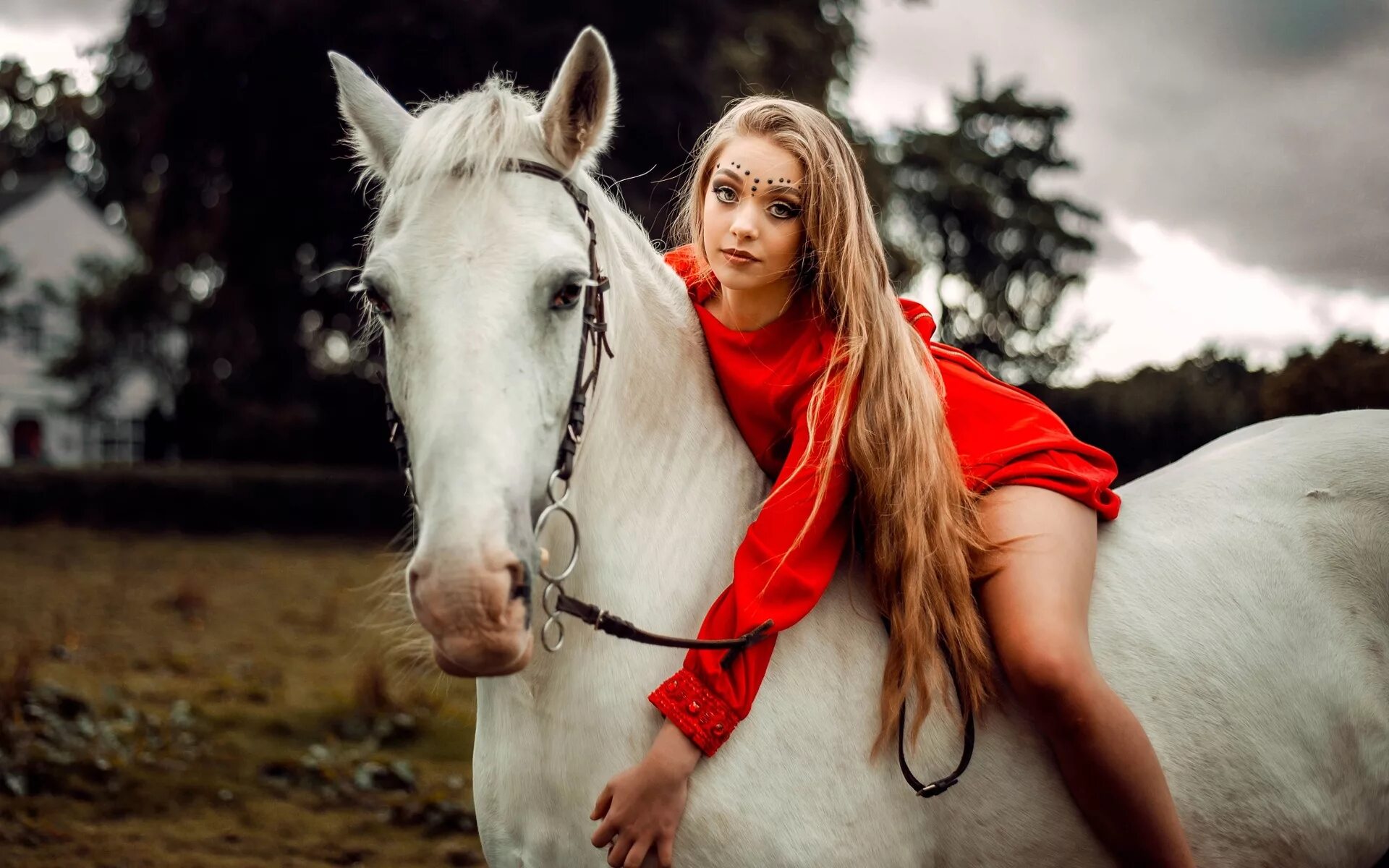 Женщина на лошади. Девушка на коне. Девушка с лошадью. Фотосессия с лошадьми.