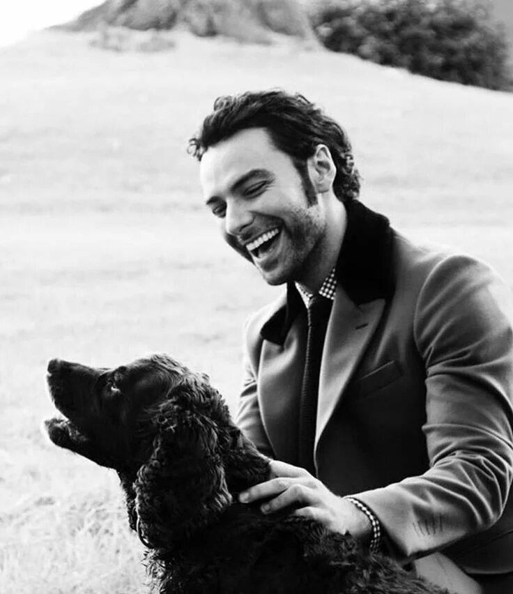 Теннисный мяч для собак. Собака лабрадор белый. Сумо собака хэнка. Животные в рекламе. Коннор и сумо детройт арт.