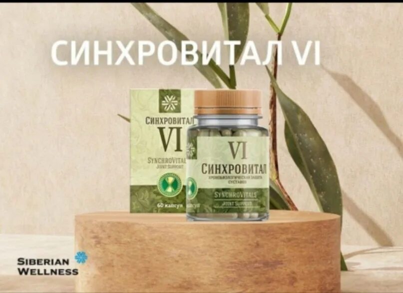 Синхровитал 6 цена. Синхровитал 2 Siberian Wellness. Синхровитал vi. Хронобиологическая защита суставов - Синхровитал vi. Синхровитал Сибирское здоровье для суставов.