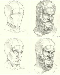 Поэтапный рисунок головы