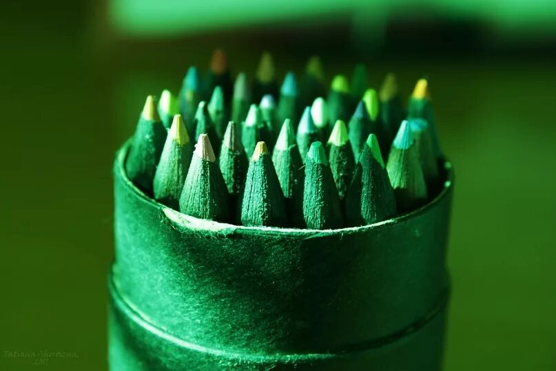 Купить зеленый карандаш. Зеленый карандаш. Набор зеленых карандашей. Цветные карандаши зеленые. Карандаш зеленых оттенков.