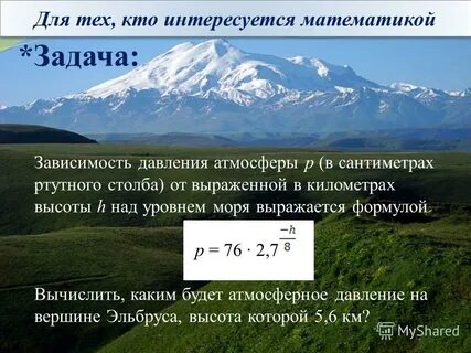 Курган высота над уровнем моря сколько метров