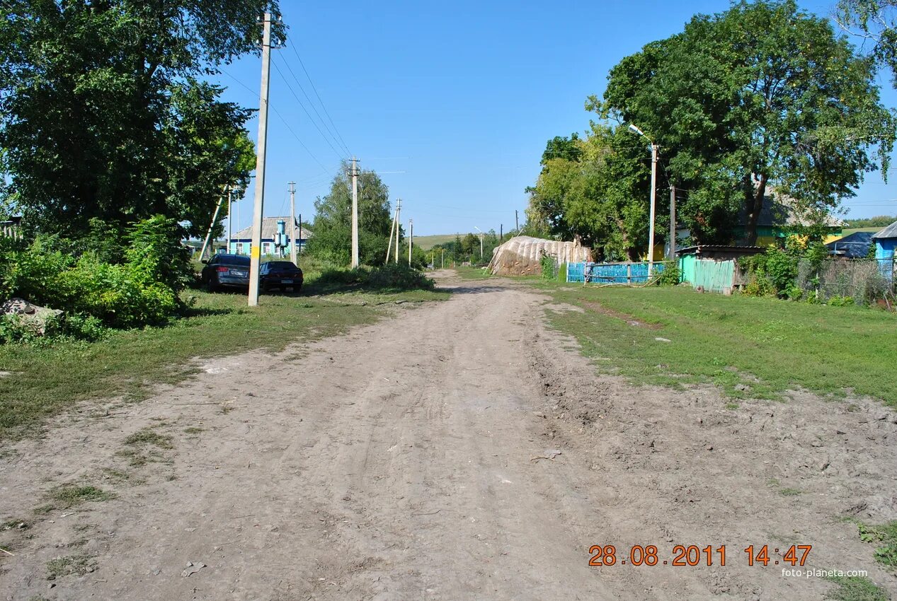 Новая деревня улица центральная