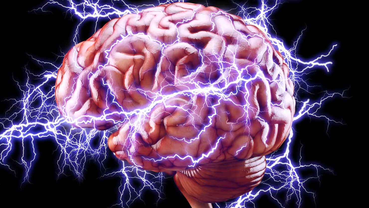 Уникальный мозг. Химия мозга.