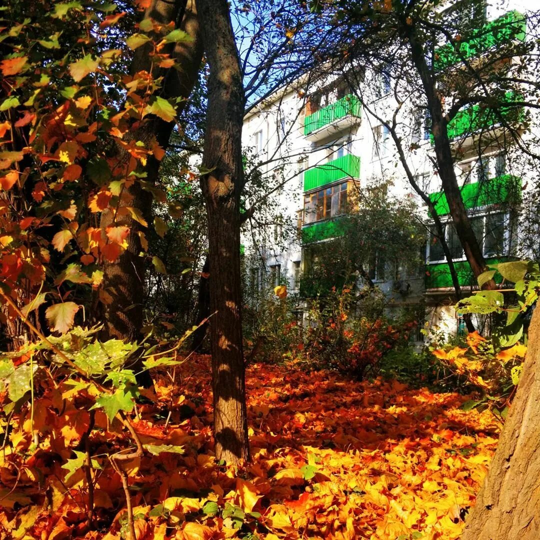 Погода в москве в метрогородке. Метрогородок Москва. Лосиный остров Метрогородок. Метрогородок 2000. Муниципальный округ Метрогородок.