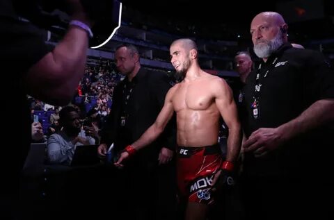 Мухамед мокаев ufc