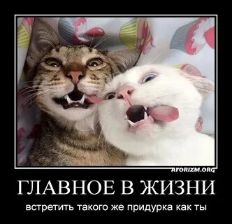 Где главное в жизни