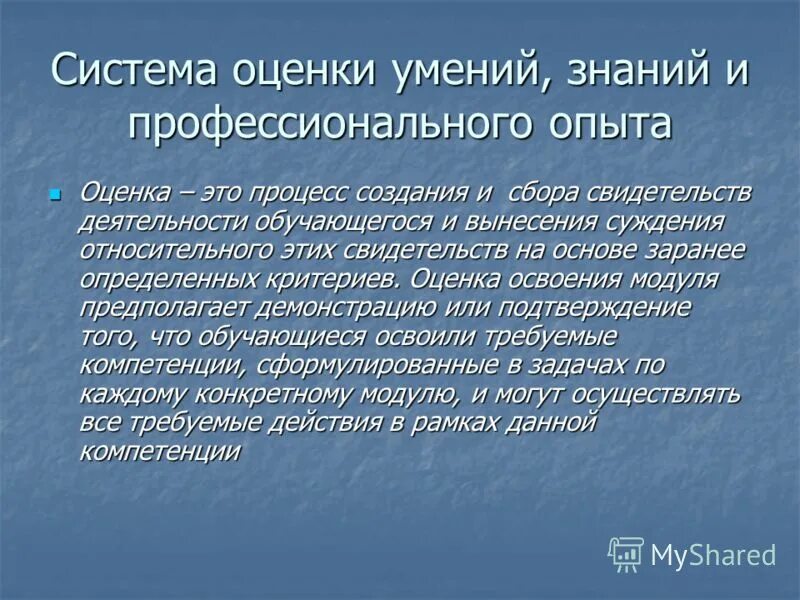 Информация о профессиональном опыте