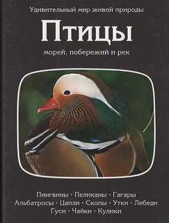 Птичьи книги