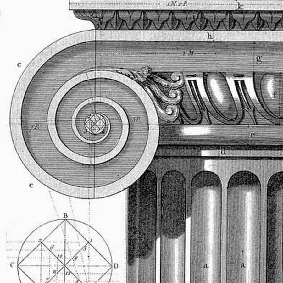 Валюта ордера. Капитель Ионического ордера. Колонна Ионического ордера. Ионический ордер древней Греции. Капитель Ионического ордера отмывка.