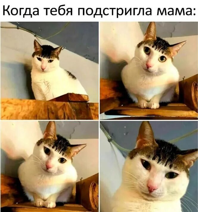 Мама постригла