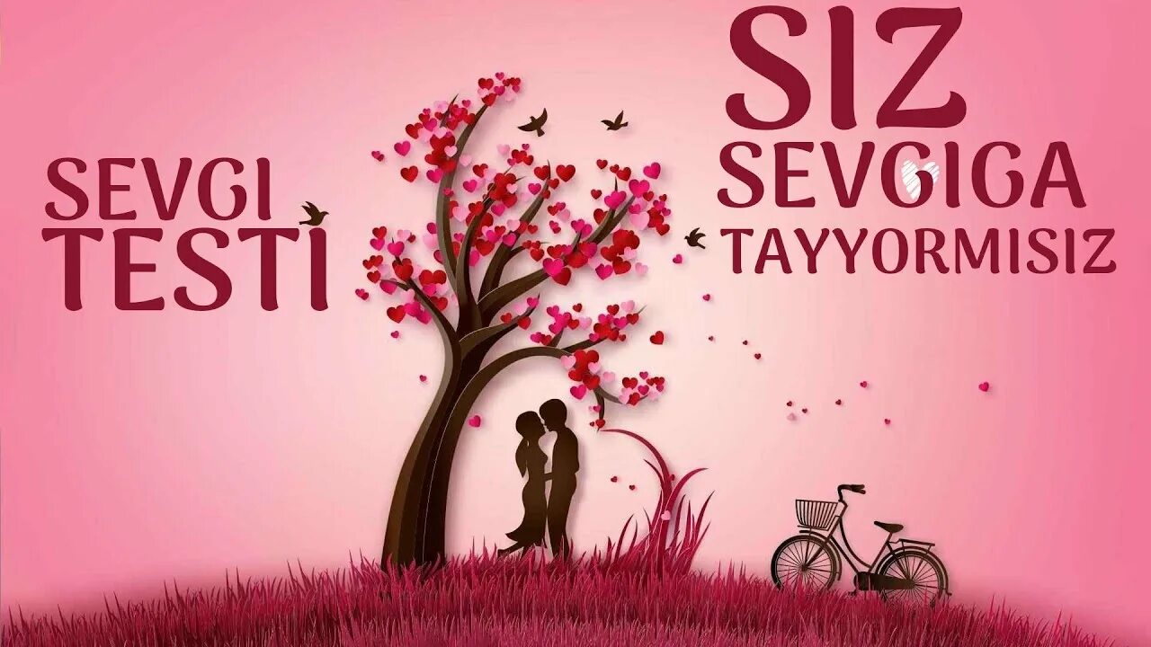 Приложения sevgi testi. Севги тести программа. Севги тести 2020. Севги тести 2020. Севги тести 2020.