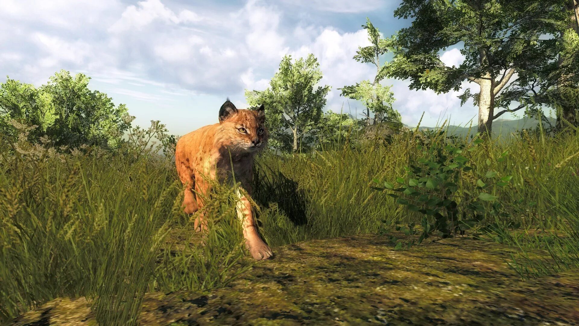 Хантер Классик игра. THEHUNTER Classic. Зе Хантер Классик охота. Wild Hunter игра. Игра хантер на пк