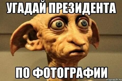Meme gen