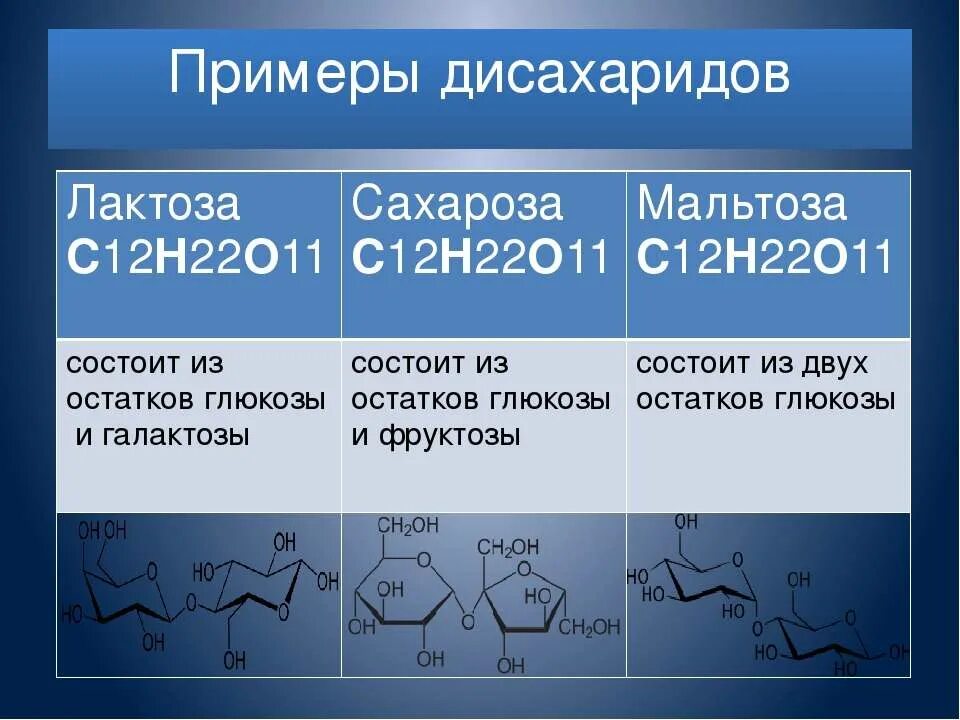 Сахароза биологическая роль. Формула дисахарида лактозы. Дисахарид сахароза строение. Дисахарид сахароза формула. Строение дисахарида мальтозы.