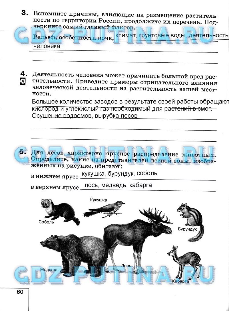 Причины влияющие на размещение растительности
