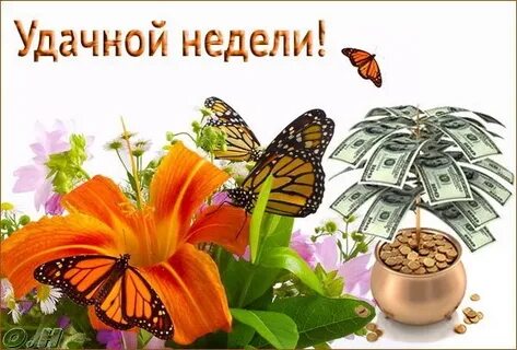 Хорошей недели мама