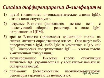 Легкий д м