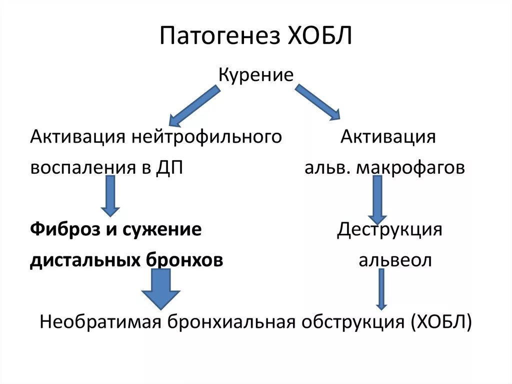 Заболевания легких этиология. Заболевания легких этиология. Механизм развития эмфиземы при хобл. Патогенез хобл. Механизм развития хронических обструктивных заболеваний легких.