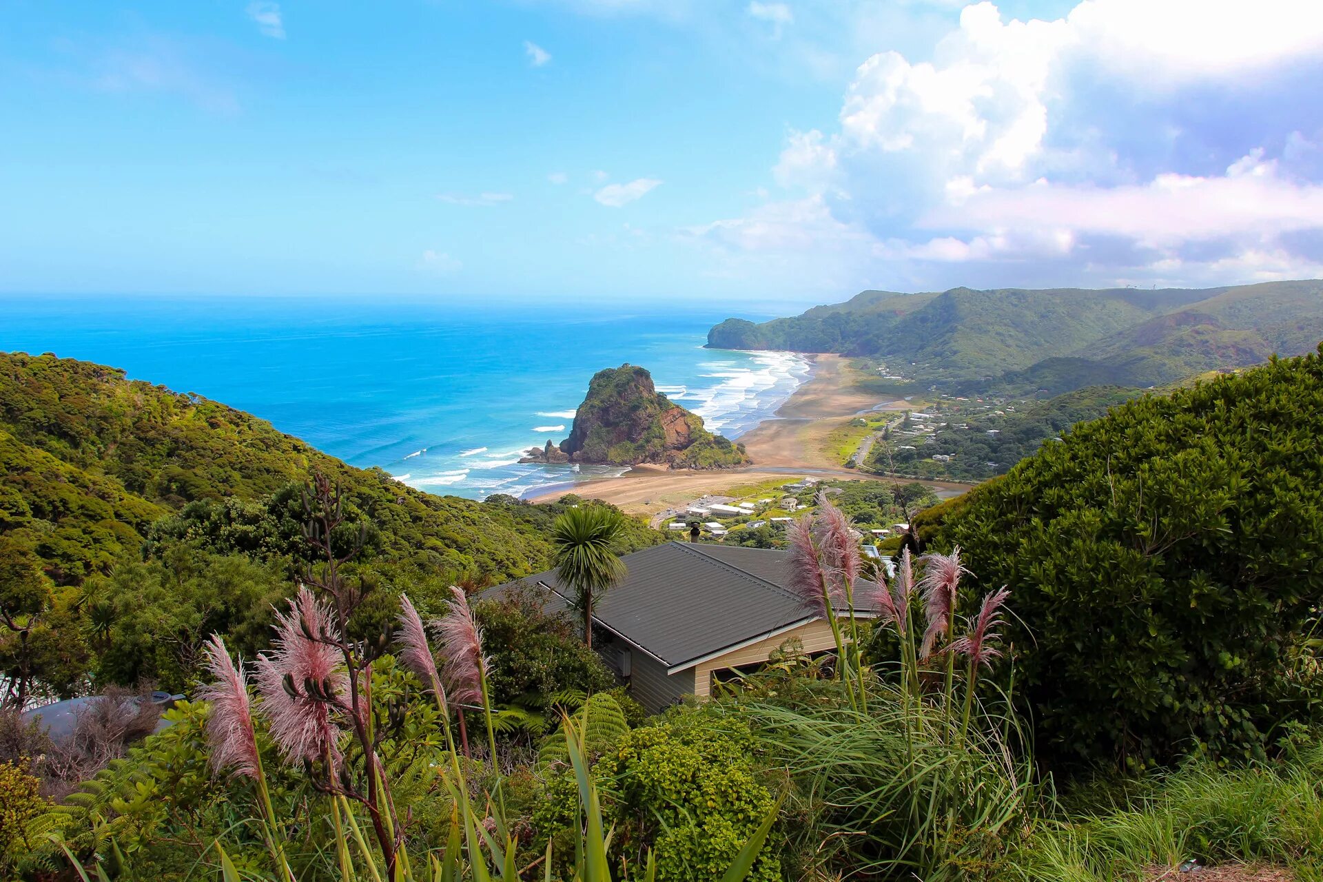 Who new zealand. Остров Окленд новая Зеландия. Новая Зеландия Окленд климат. Piha Beach новая Зеландия. Окленд новая Зеландия природа.