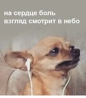 На сердце боль взгляд текст