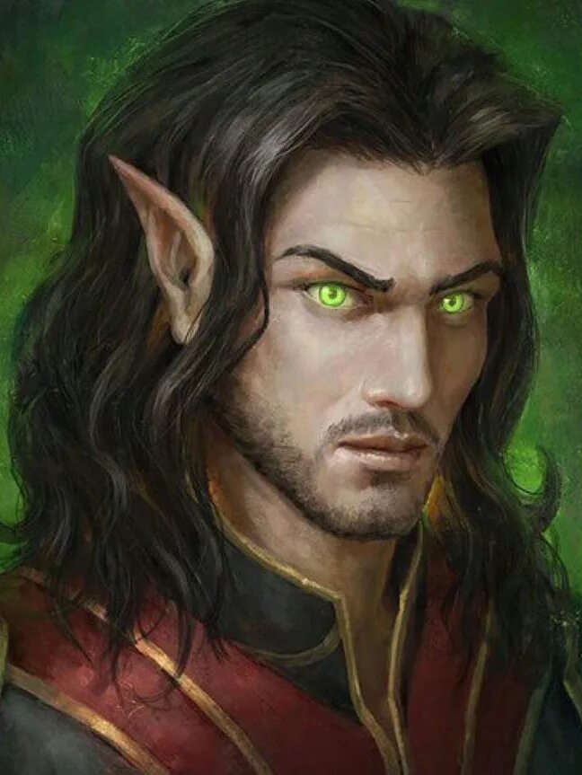 Эльфы бальдур гейт. Полуэльф бард портрет. Хеллиана валанди. Полуэльф. Полуэльф чародей днд.