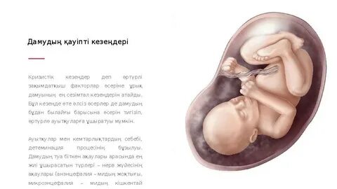 Nokia S1 01 порно