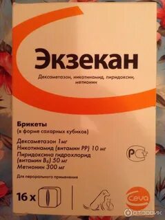 Экзекан для собак