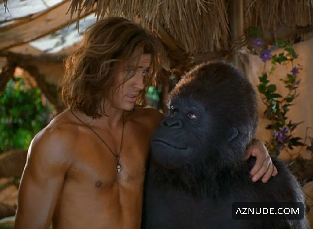 Драка горилл. Le tout nouveau testament catherine deneuve. Стая горилл. Гориллы пришли на помощь. Ребенок гориллы.