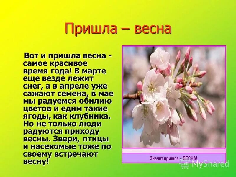 Стих про весну. Стих на весеннюю тему. Короткий рассказ о весне. Текст описание весеннего