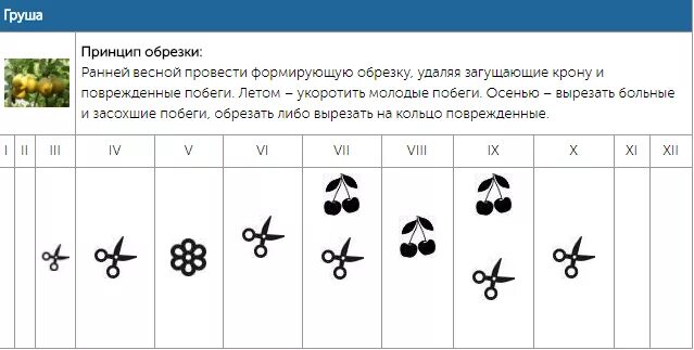 Обрезка деревьев по лунному календарю 2024. Таблица обрезки плодовых деревьев и кустарников. Календарь обрезки деревьев. Календарь подрезки деревьев. Календарь обрезки плодовых деревьев.