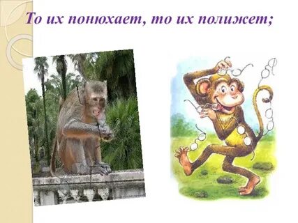 Мартышка и очки читательский