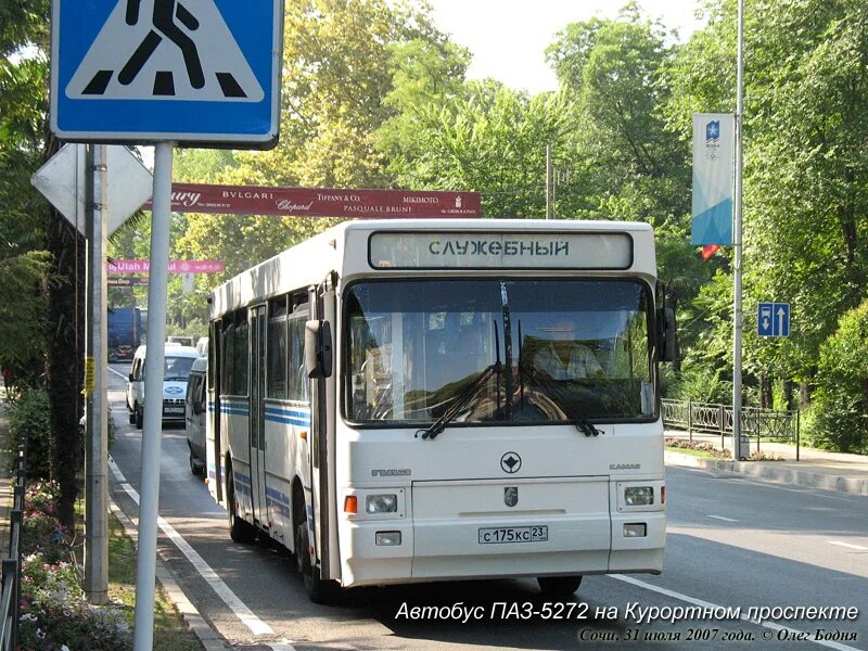 Сайт автобусов сочи. ПАЗ-5272 автобус. ПАЗ 5272 турист. Автобусы Лазаревское. Автобусы Сочи.