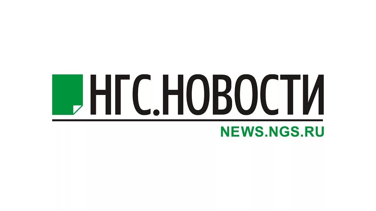 Ngs. НГС. NGS.ru Новосибирск. НГС лого. Логотип портала NGS.